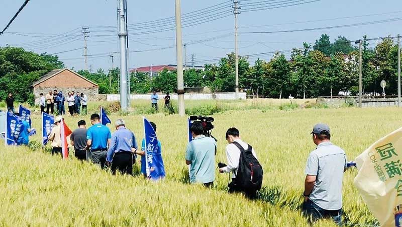 520健康植保日——擁抱綠色農(nóng)業(yè)，我們在行動