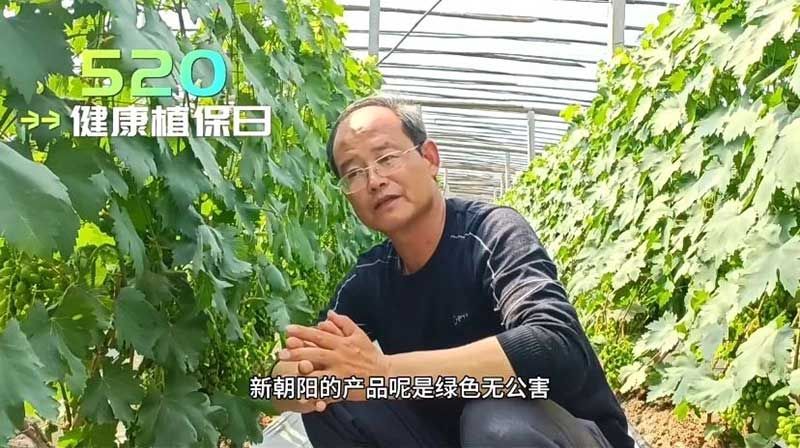 520健康植保日——擁抱綠色農(nóng)業(yè)，我們在行動