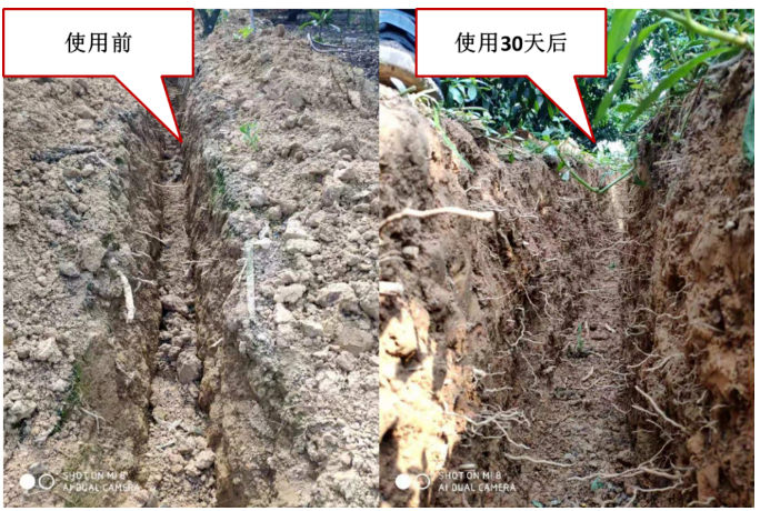 “土壤板結(jié)克星”：土壤調(diào)理劑你了解多少？