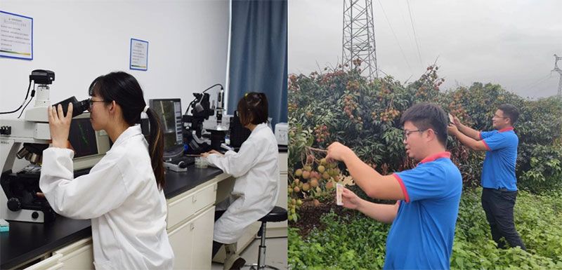 打造新朝陽生物科技“五張名片”，服務(wù)農(nóng)業(yè)高質(zhì)量發(fā)展！