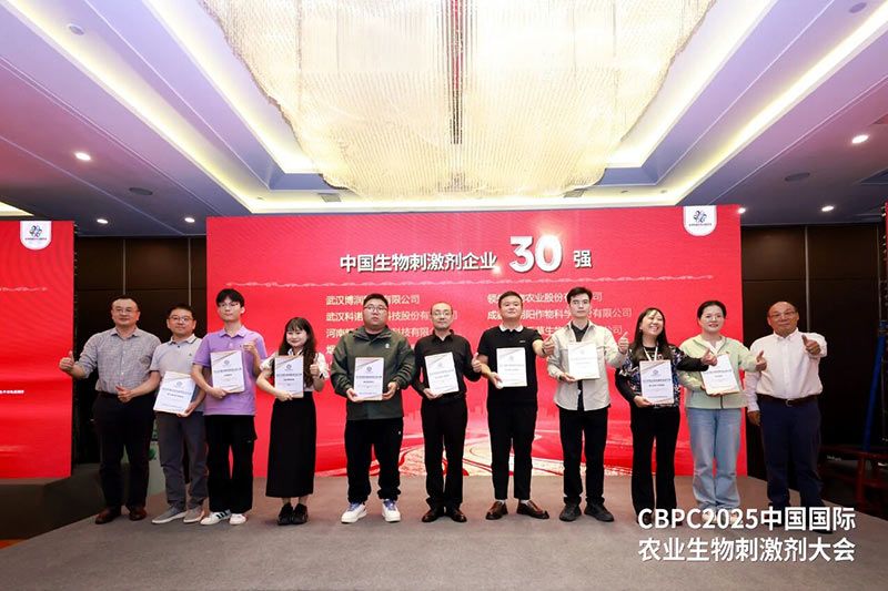 CBPC 2025｜新朝陽榮獲“2025中國(guó)生物刺激劑企業(yè)30強(qiáng)”稱號(hào)